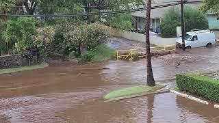 Maui 2022 Kihei Flash Flood