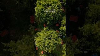 Остров Северный Кипр Турецкий Кипр