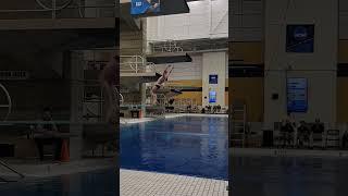 Andrew Capobianco Nails 205C Dive | Big Ten Prelims 2022 Highlights! #dive#shorts