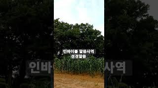 악한 영이 무서워 떠는 것 #인바이블 말씀사역 #amen #shorts