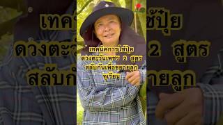พี่นิด ชาวสวนทุเรียน จันทบุรี กับการใช้ปุ๋ยขยายลูกของดวงตะวันเพชรสองสูตรสลับกัน #ควายดำทำเกษตร