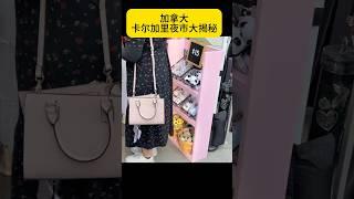 加拿大卡尔加里夜市大揭秘·~#海外生活 #加拿大留学 #calgary