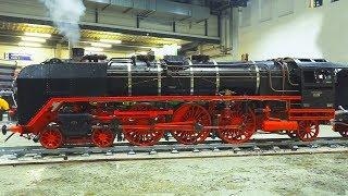 LIVE STEAM MODEL LOCOMOTIVES IN ACTION!! * REAL STEAM TRAINS, MODEL RAILWAY, RAILROAD