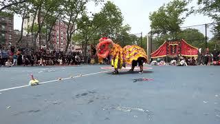 Golden Lion Club Choy Chang Lion Dance  @TheAmericanDragonandLionDay on Sara D. Roosevelt Park