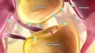 Schizophrenia Part 1 of 4 - Medical Animation by Watermark