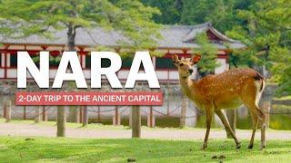 Essentials of NARA | 2-Day Trip | japan-guide.com