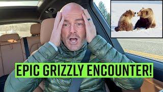 Photographing an Epic Grizzly Bear Scene In The Tetons - A Wildlife Photography Vlog