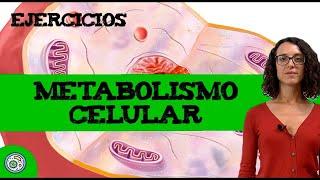 Metabolismo celular  (A4) Ejercicio resuelto de EBAU, EvAU, PAU