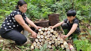 Single mother and her son harvest bamboo shoots to sell - single mother life