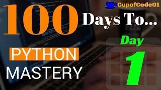 How To Learn Python Programming Fast With Examples - Day 1 of 100