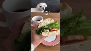 -10kg 유지어터의 술 마신 다음 날 식단기록! #다이어트 #다이어트브이로그
