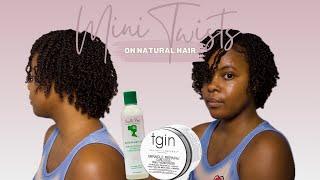 Mini Twists on Natural Hair | NO GEL | TGIN & Camille Rose