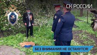 Без внимания не останутся! Брянская область.