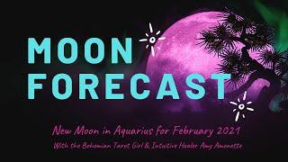 Moon Forecast for the New Moon in Aquarius, February  2021