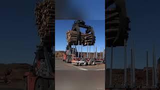 Amazing Log Handling Machine TW Logstacker