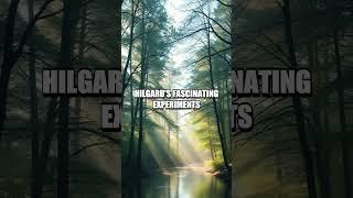 Intrigue of the Hidden Observer