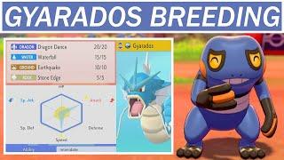 Why You Should Breed a Gyarados - "Pro" Pokemon Breeding Guide