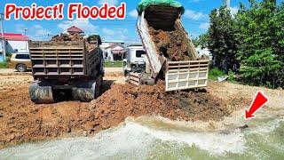 Start New Project! Delete Flooded a Pond! By Bulldozer Pusher, Truck 5Ton Transport Build Landfill