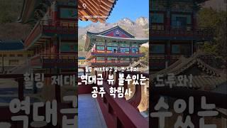 힐링하고 싶은 사람이라면 필수 시청! #공주 #학림사