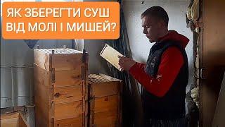 Чому світлу сушнину міль не їсть? Як зберегти суш  до наступного сезону?