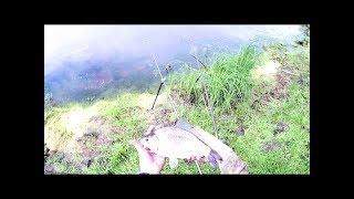 Карась на удочки.река Ахманка 6 07 18
