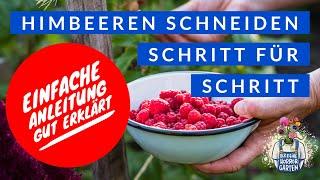 Fehler beim Himbeeren schneiden vermeiden I der kleine Horrorgarten