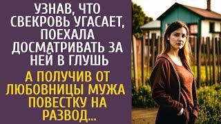 Узнав что свекровь угасает, уехала досматривать за ней в глушь… А приняв от любовницы повестку в суд