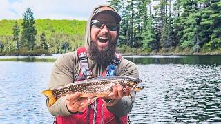 Trophy Brook Trout in Algonquin Backcountry with The Average Joes!