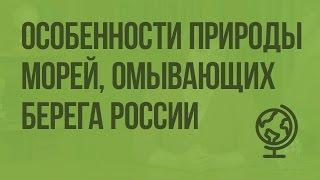 Особенности природы морей, омывающих берега России. Видеоурок по географии 8 класс