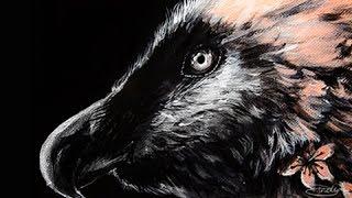 Cherry Blossoms - Bearded Vulture - Acrylic Speed Painting Time Lapse by Danielle Trudeau