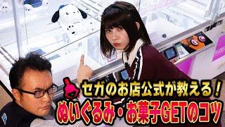 【公式】セガのお店の店員が教えるクレーンゲーム完全攻略【ぬいぐるみ・お菓子編】