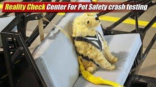 Reality Check: Center For Pet Safety crash testing