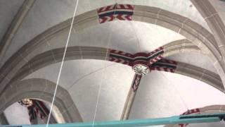 Psalm 33 - Cornelis de Wolf - Ab Weegenaar live-opname vanuit de Bovenkerk te Kampen