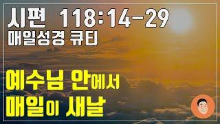 [매일성경큐티] 12월 31일 (화) 시편 118:14-29 "구원의 하나님" [10분 말씀나눔]