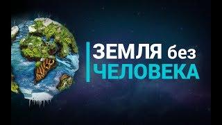 Что если бы Земля существовала без человечества?