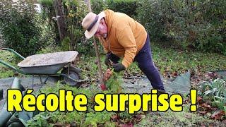 Quelles surprises mon potager me réserve-t-il après le dégel?