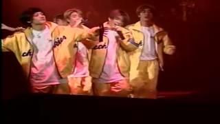 젝키팬-눈물샘/Sechskies Fan(Yellowkies)-lachrymal gland