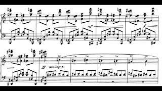 Jozef Hofmann -  Selected Pieces for Piano