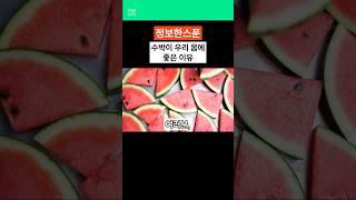 수박이 몸에 좋은 이유 #여름 #과일 #수박 #건강정보 #정보 #정보한스푼 #건강 #지식 #이슈 #건강지식 #건강상식 #1분상식 #음식 #올바른정보