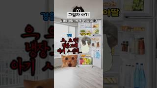 냉장고에 5년동안 방치된 신생아