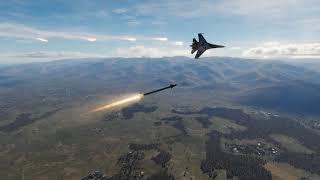 DCS: AIM 9X Wakes up and chooses violence