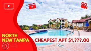 Cheapest Apartment Complex in north New Tampa - WOW!