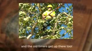 WCISA Tree Climbing Championship 2014