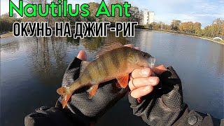 Nautilus Ant и Оснастка Джиг-Риг на Парке Дружбы.