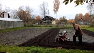 самодельный культиватор в работе.  homemade cultivator