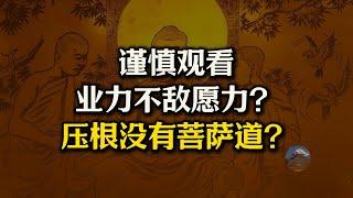 谨慎观看！业力真的不敌愿力？压根不存在“菩萨道”？愿力背后的核心逻辑是啥？愿力最早出处是哪里？