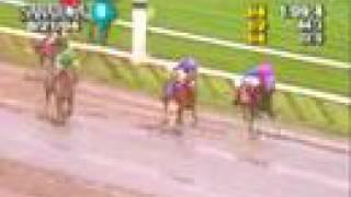 Afleet Alex - 2004 Hopeful Stakes