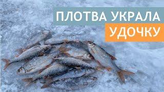 ПЛОТВА УКРАЛА УДОЧКУ. ОТКРЫТИЕ СЕЗОНА. РЫБАЦКИЙ КОРПОРАТИВ