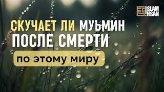 Скучает и расстраивается ли муъмин после смерти по этому миру? (ОВ31)