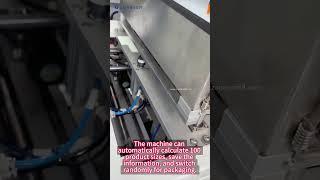 ZONESUN ZS-JSP20 Full Automatic Visual Counting Granule Bag Vertical Form Filling Sealing Machine